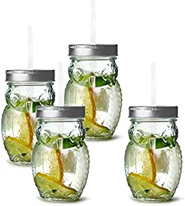 Circleware 69049 Owl Mason Jars Drinking Glasses with Metal Lids and Hard Plastic Straws Set of 4, Glassware for Water Beer and Kitchen & Home Decor Bar Dining Beverage Gifts, 15 oz, Clear