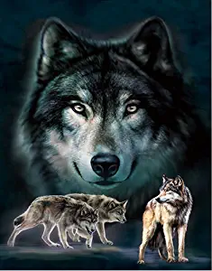 3D Home Wall Art Decor Lenticular Pictures, Wolves Collection Holographic Flipping Images, 12x16 inches Animal Poster Painting, Without Frame, Wolves in Dark