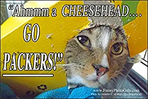 CHEESE HEAD CAT, 1 Medium sized funny photo fridge magnet, humorous meme decorative magnetic sign plaque, 3.75x2.5 inches (9.525 x 6.35 cm) Tabby cat roots for his favorite Wisconsin football team.