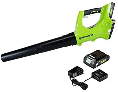 Greenworks 24V Axial Leaf Blower, 2Ah Battery and Charger Included BA24B210