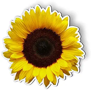 AK Wall Art Sunflower - Magnet - Car Fridge Locker - Select Size