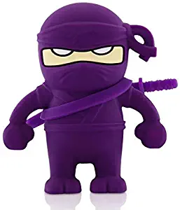 D-CLICK® High Quality 4GB/8GB/16GB/32GB/64GB/Cool Shape USB High speed Flash Memory Stick Pen Drive Disk (8GB, Ninja Purple)