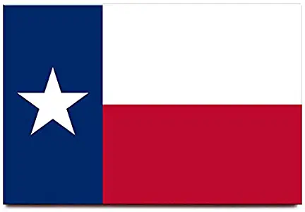 Texas flag fridge magnet Dallas Houston travel souvenir