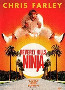 Beverly Hills Ninja Movie Mini Poster 11x17 Master Print