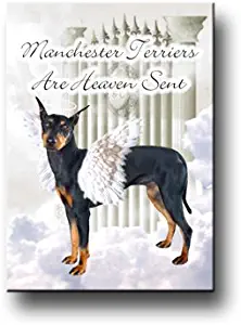 Manchester Terrier Heaven Sent Fridge Magnet