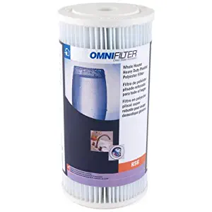 OMNIFILTER -RS6 WHOLE HOUSE CARTRIDGE