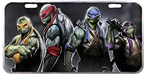 Anwei Panda Teenage Mutant Ninja Turtles Custom Metal License Plate for Car Tag