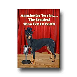 Manchester Terrier Worlds Greatest Show Dog Fridge Magnet