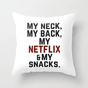 HL HLPPC Home Decorative Throw Pillow Case Polyester Cushion Cover My Neck, Back, Netflix and Snacks 18 x 18 Inches