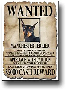 Manchester Terrier Wanted Fridge Magnet