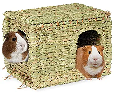 SunGrow Grass House - Folding Woven Hut for Laying or Sleeping - Provides Comfort, Warmth & Security - Pet-Safe, Edible Chew Home - Satisfies Natural Instincts - Multi-Utility Toy for Small Animals