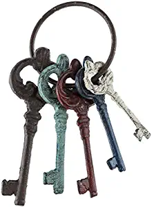 Colorful Cast Iron Key Ring